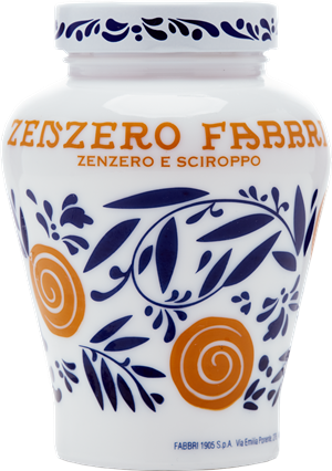 Zenzero Fabbri 600g