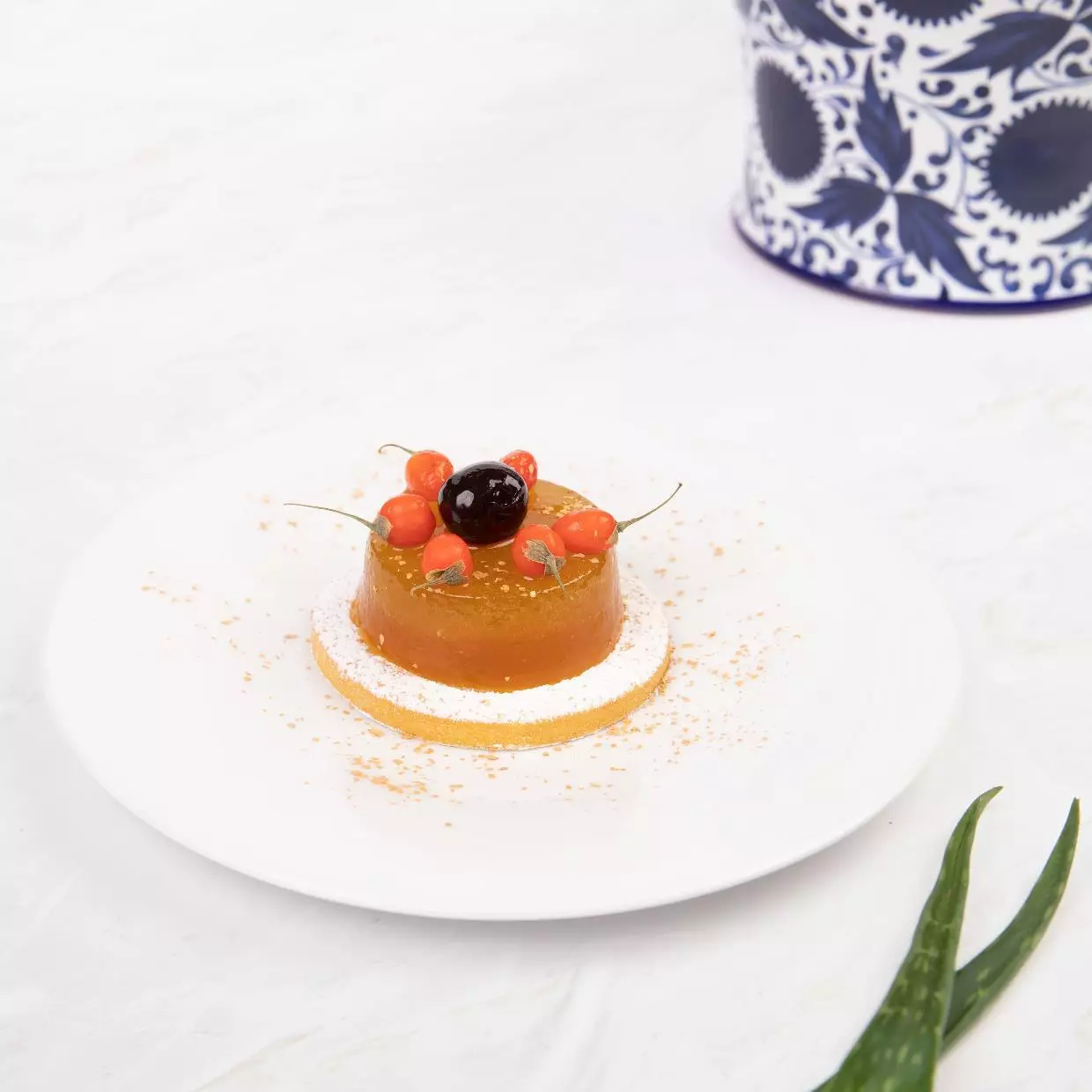 Aloe Gelée